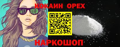 ГАЛЛЮЦИНОГЕННЫЕ ГРИБЫ Гусев
